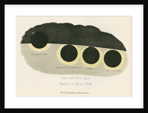 Halo and polar spot by Anonymous