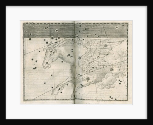 Constellation of Pegasus by Alexander Mair