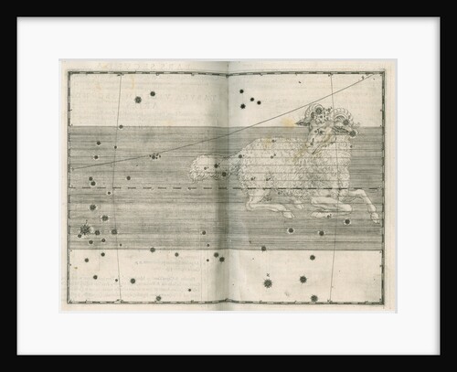 Constellation of Aries by Alexander Mair