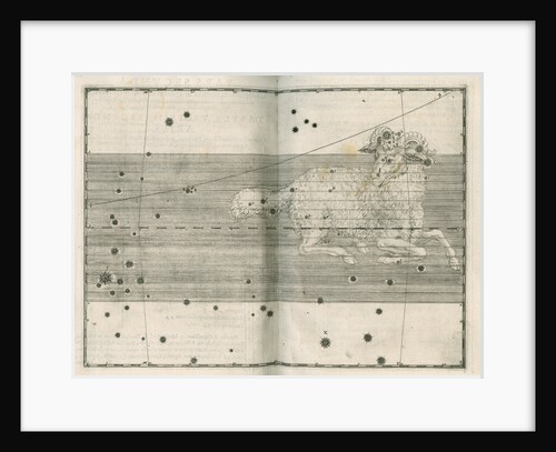 Constellation of Aries by Alexander Mair