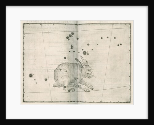 Constellation of Lepus by Alexander Mair