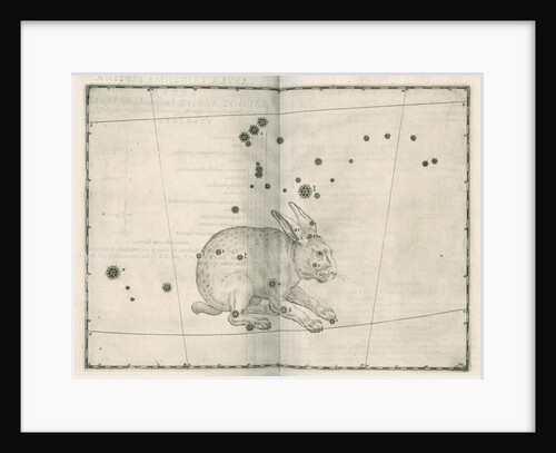 Constellation of Lepus by Alexander Mair