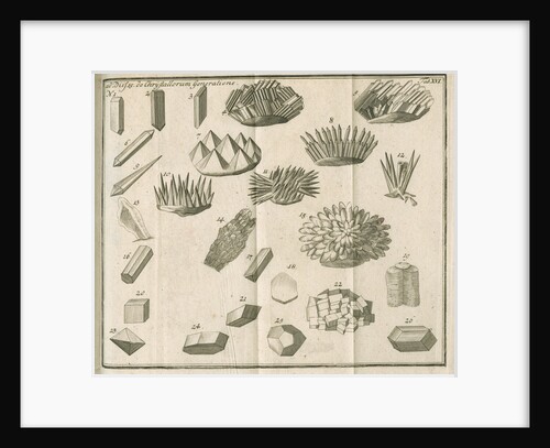 Microscopical observations of crystals from Linnaeus's 'Academic delights' by Anonymous