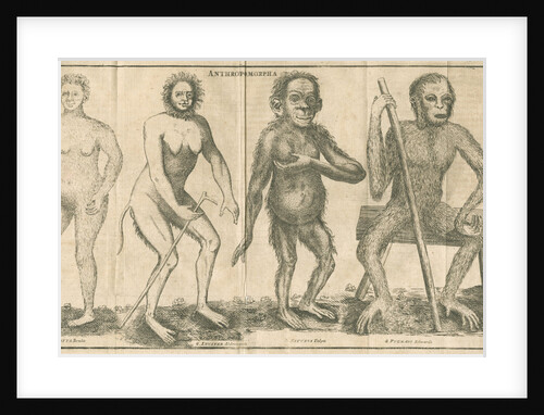 Four 'humanoid' figures from Linnaeus's 'Academic delights' by Anonymous