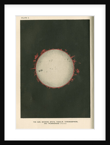 The sun showing spots, faculae, chromosphere, and prominences by Cassell & Co