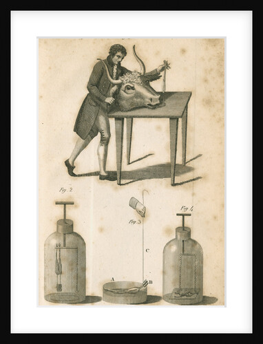 Experiments on galvanism by Anonymous