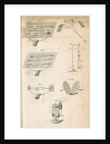 Experiments on galvanism with frogs by Anonymous