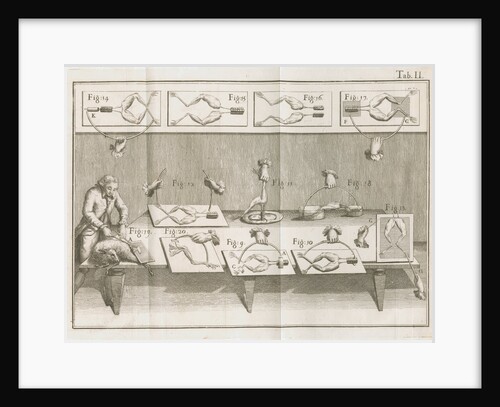 Galvani's electrical experiments on frogs legs by Anonymous