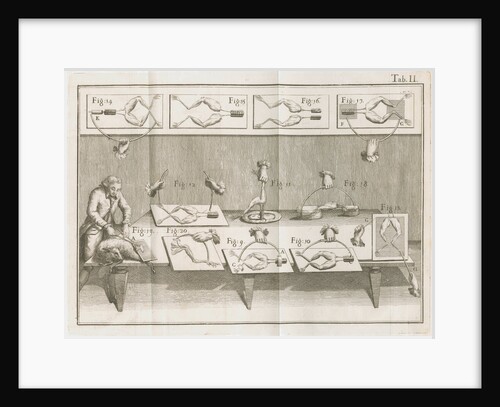 Galvani's electrical experiments on frogs legs by Anonymous