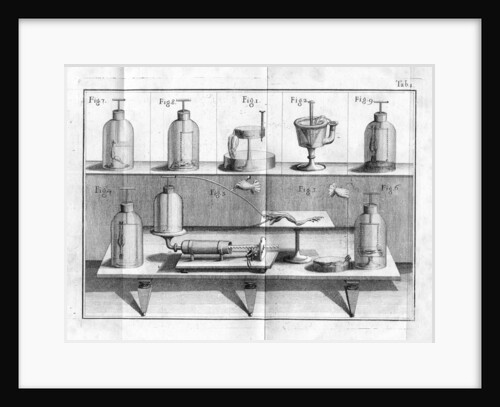 Aldini's experiments on Galvanism with frogs legs by Anonymous