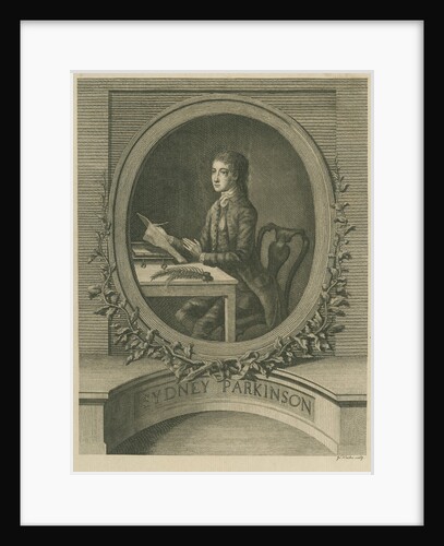 Portrait of Sydney Parkinson (1740-1771) by James Newton