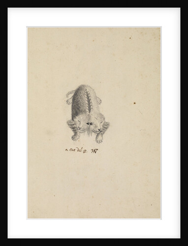 'Monstrous cat' by Henry Hunt