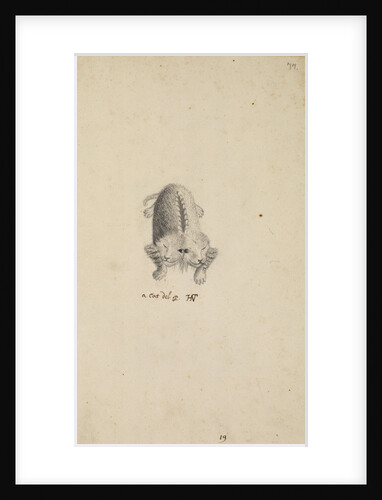 'Monstrous cat' by Henry Hunt