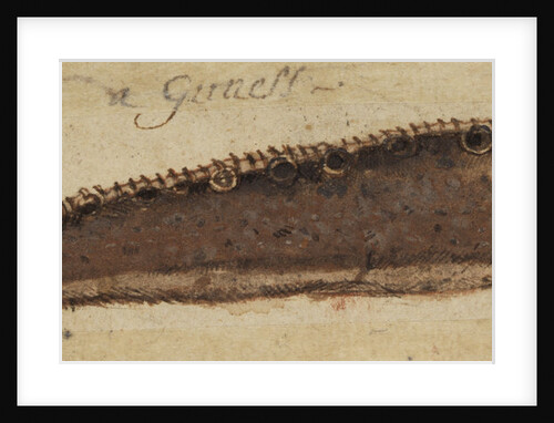 Gunnel fish by Anonymous