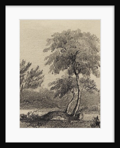 Apple tree at Woolsthorpe Manor by George Rowe