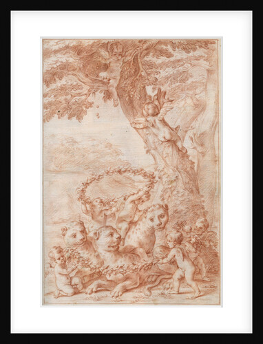 Frontispiece of Marcello Malpighi's 'Anatome Plantarum' by Marcello Malpighi