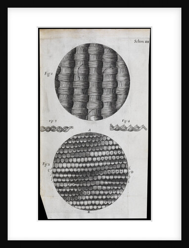 Microscopic view of silk and taffeta by Robert Hooke