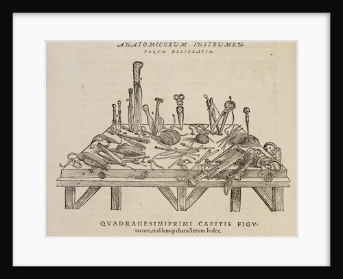 'Anatomicorum instrumentorum delineatio' by Studio of Titian
