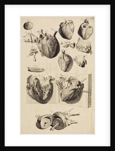 The human heart by Gerard de Lairesse