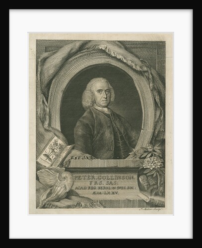 Portrait of Peter Collinson (1694-1768) by J Miller