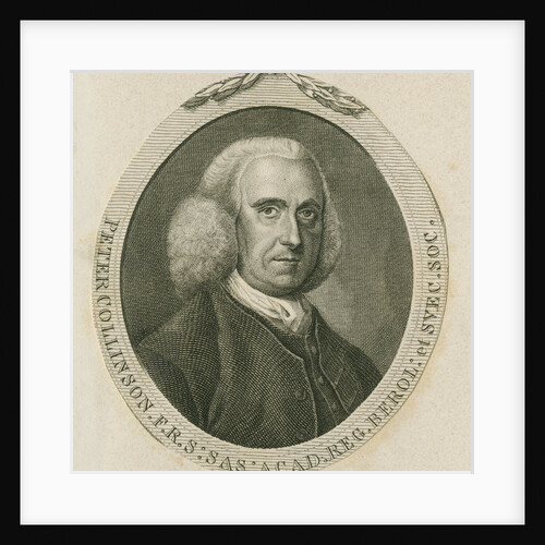 Portrait of Peter Collinson (1694-1768) by Anonymous