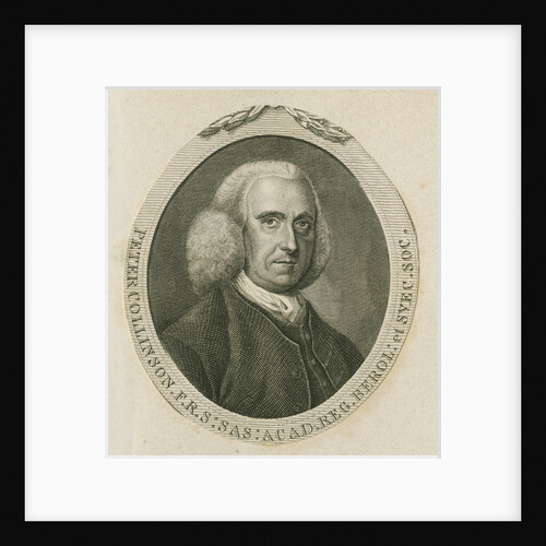 Portrait of Peter Collinson (1694-1768) by Anonymous