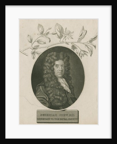 Portrait of Nehemiah Grew (1641-1712) by James Newton