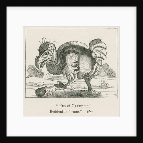 Figure of the Dodo by Anonymous