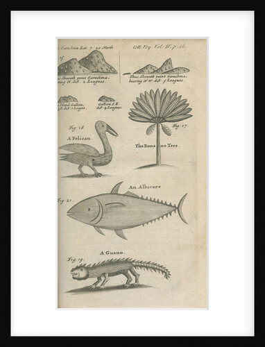 Landmarks and wildlife of Panama, observed by William Funnell by Anonymous