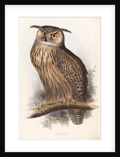 Eagle Owl by Edward Lear