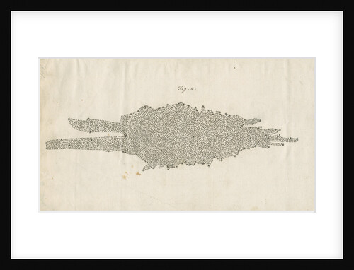 Structure of the Milky Way galaxy by William Herschel