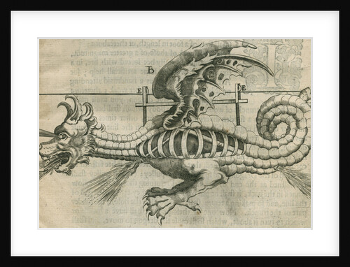 Dragon firework display by Anonymous