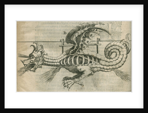Dragon firework display by Anonymous