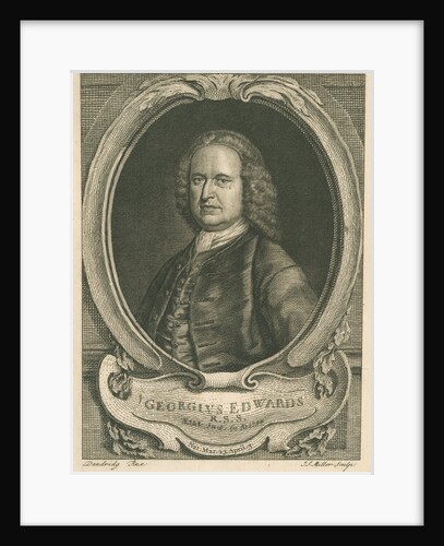Portrait of George Edwards (1694-1773) by Johann Sebastian Müller