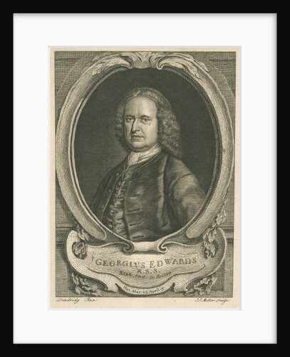 Portrait of George Edwards (1694-1773) by Johann Sebastian Müller