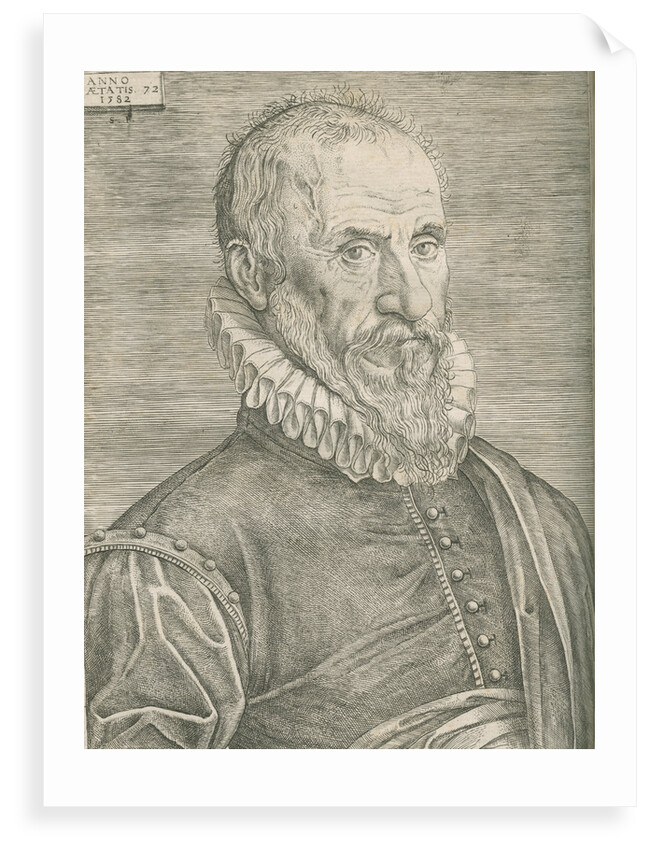 Portrait of Ambroise ParÃš (1505-1590) by Anonymous