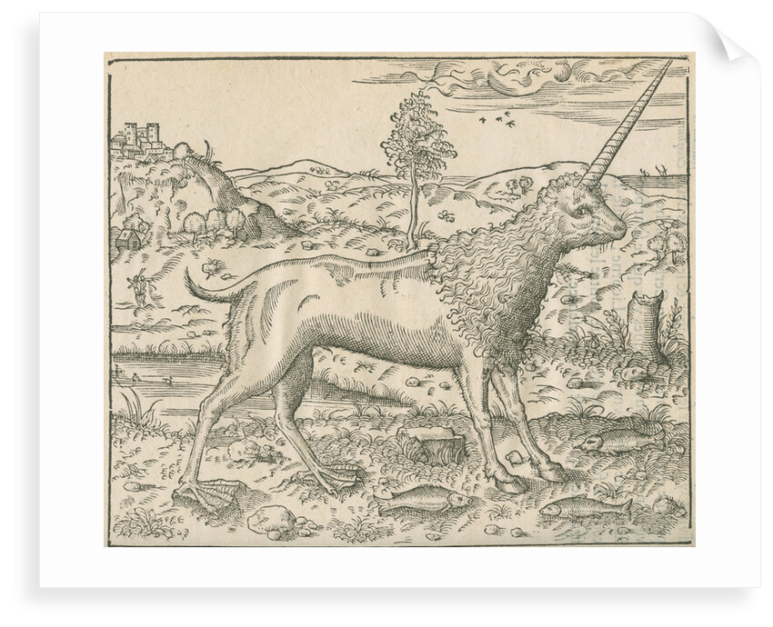 'Figure du Camphur' by Anonymous