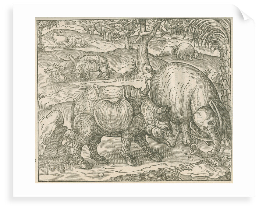 'Figure du combat du Rhinoceros contre l'Elephant' by unknown
