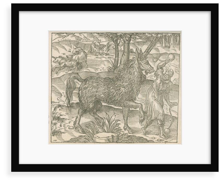 'Figure du Pirassoipi, espece de Licorne d'Italie' by Anonymous