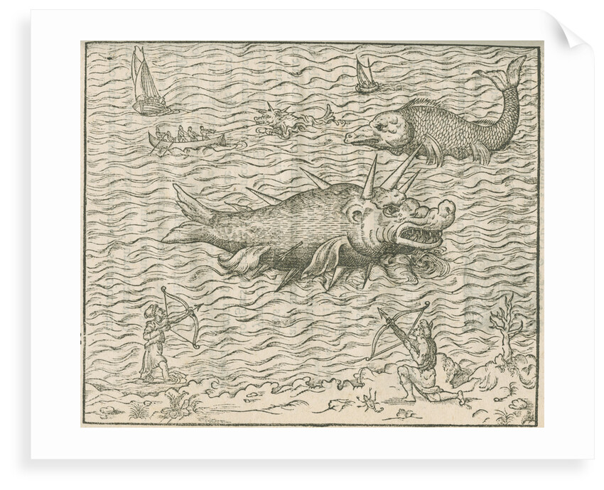 'Figure du Poission nomme Caspilly' by Anonymous