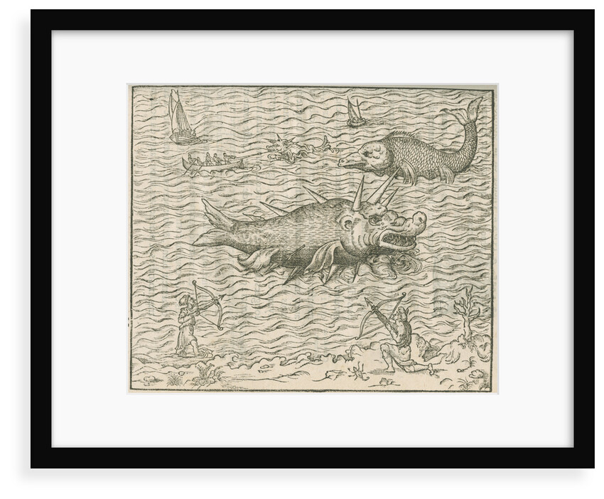 'Figure du Poission nomme Caspilly' by Anonymous