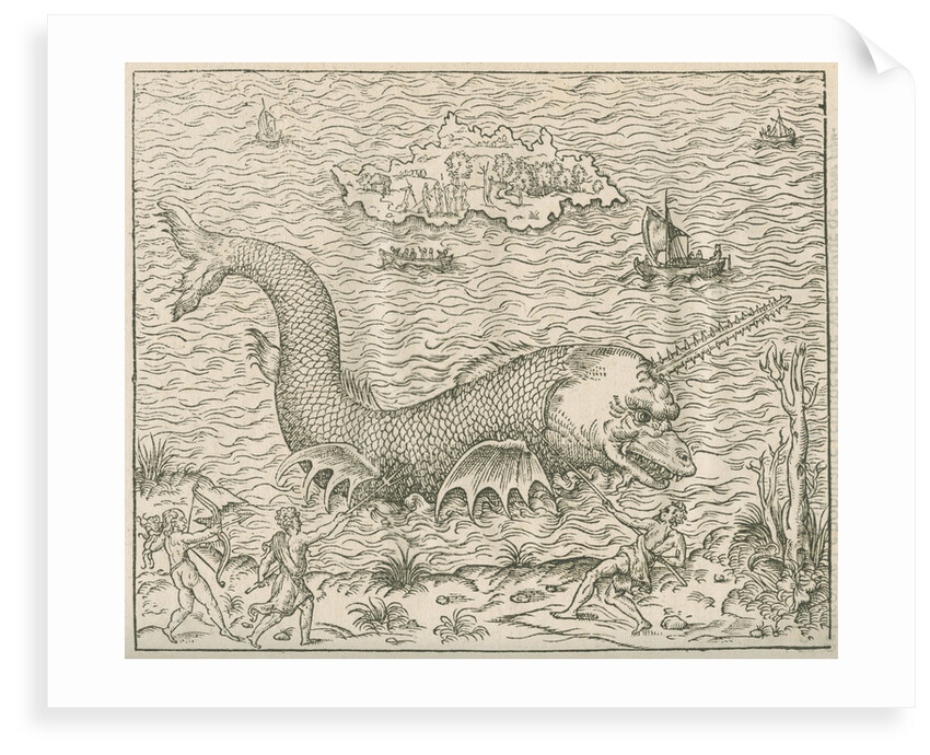 'Figure du Poission nomme Vletif' by Anonymous