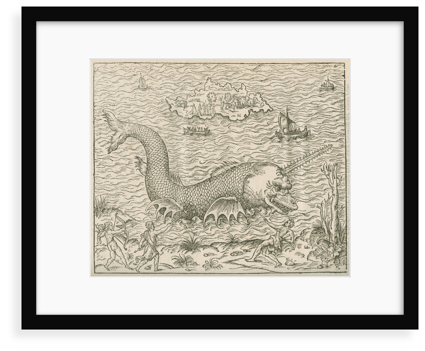 'Figure du Poission nomme Vletif' by Anonymous