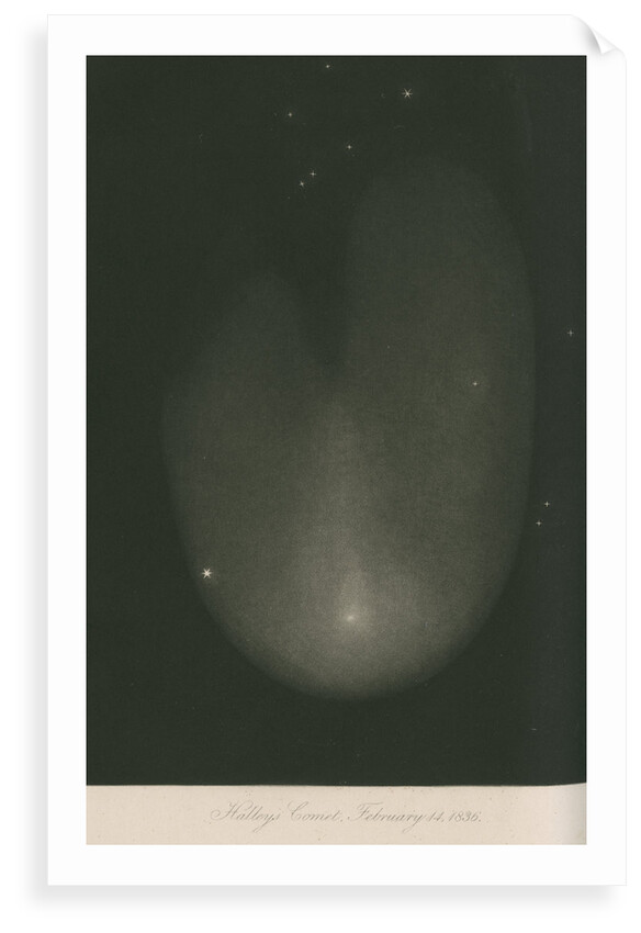 Halley's Comet, 14 February 1836 by James Basire III