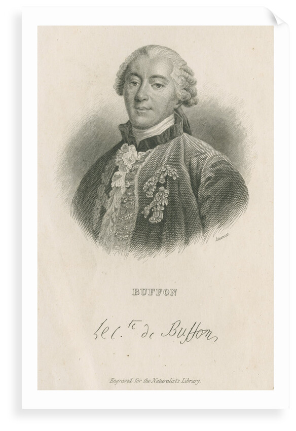 Portrait of George Louis Leclerc, Comte de Buffon (1707-1788) by William Home Lizars