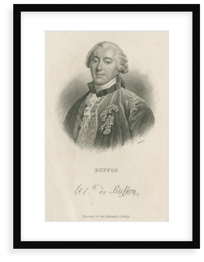Portrait of George Louis Leclerc, Comte de Buffon (1707-1788) by William Home Lizars