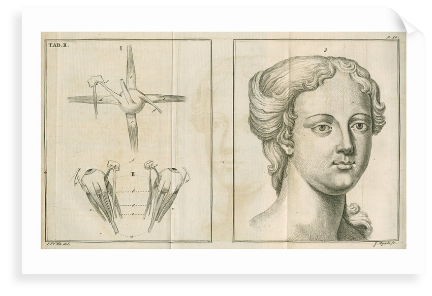 'The back view of the eye & the countenance in easy composure' by James Mynde