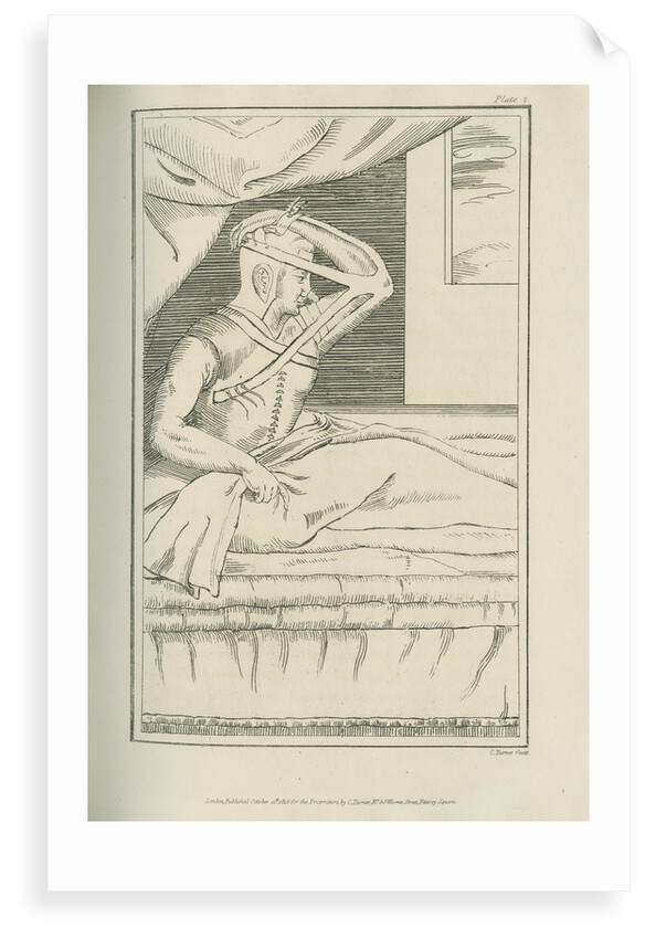 The Italian method of nose replacement by Charles Turner
