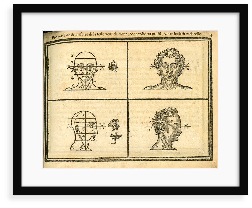 Front and side view of the head by unknown