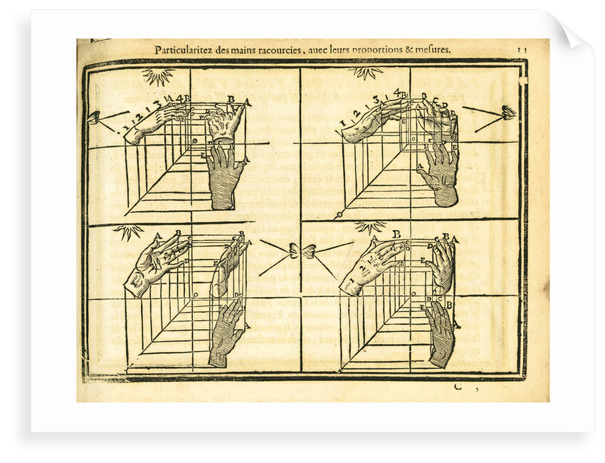 Movement and perspective of the hand by unknown